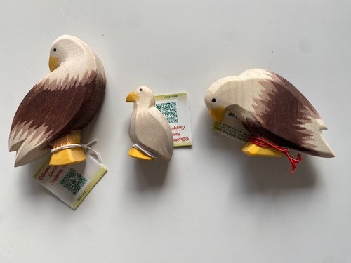 Ostheimer seeadler stehend - ostheimer,